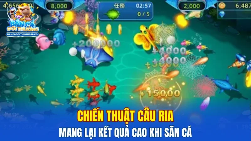 Chiến thuật câu ria mang lại kết quả cao khi săn cá