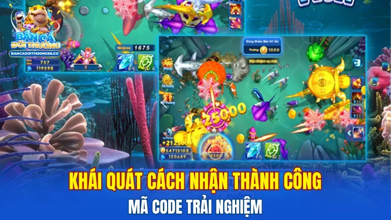 Khái quát cách nhận thành công mã code trải nghiệm