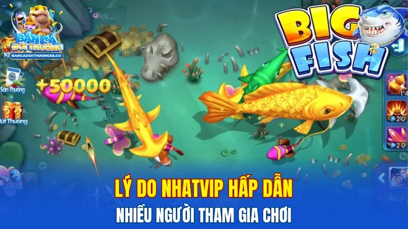 Lý do NHATVIP hấp dẫn nhiều người tham gia chơi