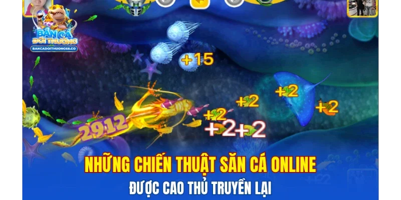 Những chiến thuật săn cá online được cao thủ truyền lại