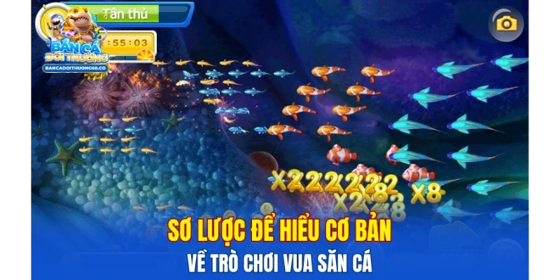 Sơ lược để hiểu cơ bản về trò chơi vua săn cá