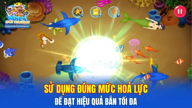 Sử dụng đúng mức hoả lực để đạt hiệu quả bắn tối đa