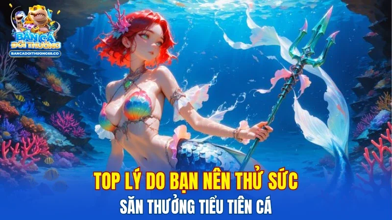 Top lý do bạn nên thử sức săn thưởng tiểu tiên cá